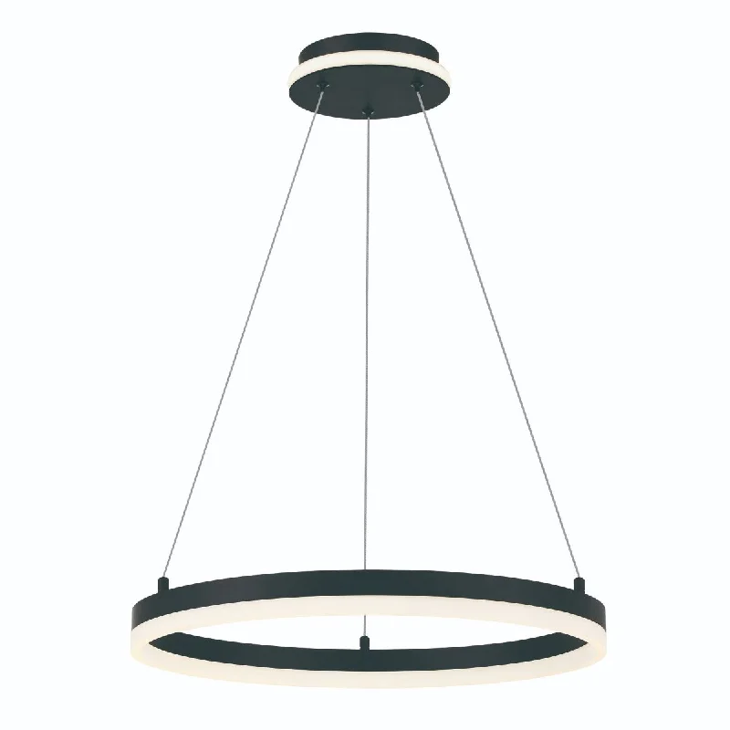 Industrial Lighting for Food Processing FactoriesRecovery 20 in. LED Pendant Light Matte Black finish