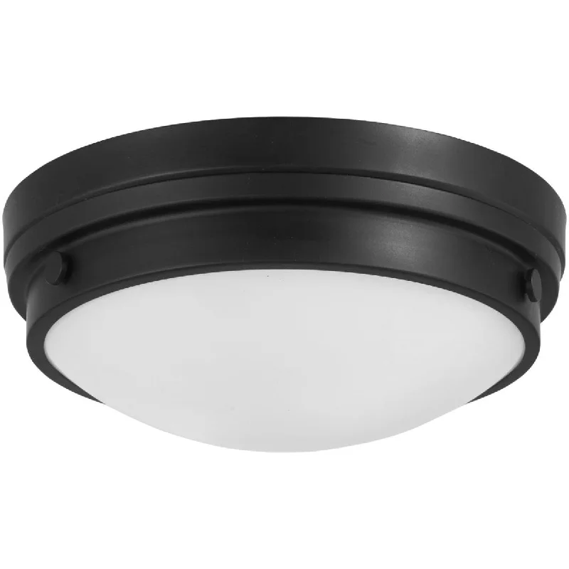 Industrial Area Lighting for Large Open Spaces13 in. 2 Lights Flush Mount Light Black finish