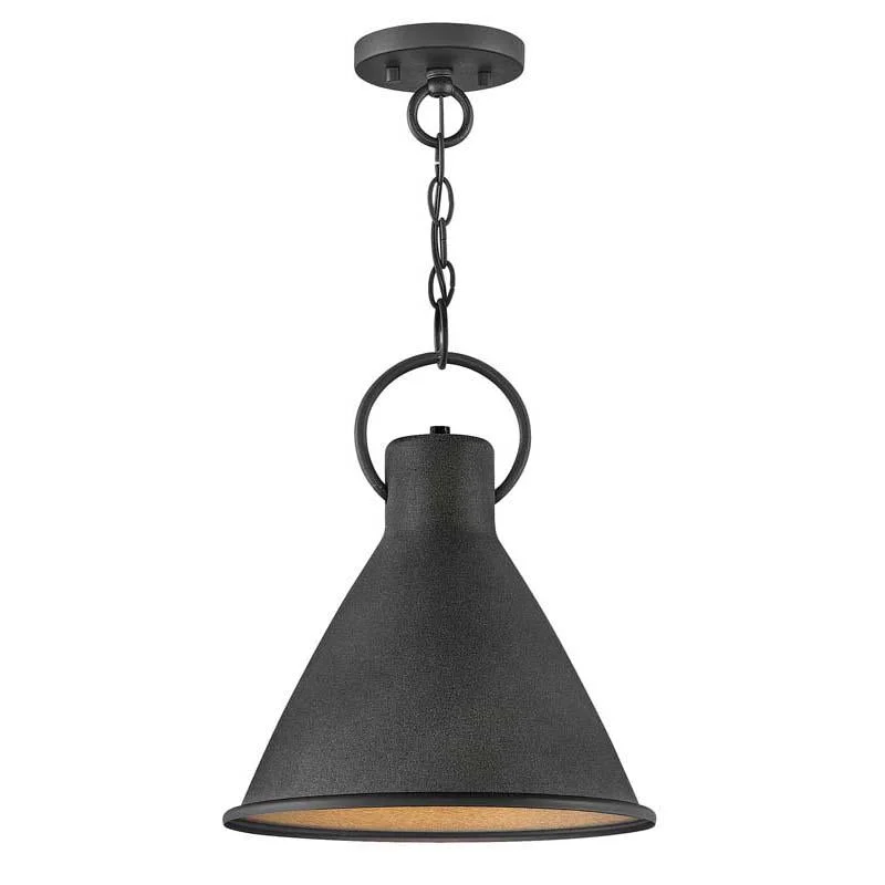 Wireless track lighting for easy installationHinkley 3557 Winnie Pendant Light