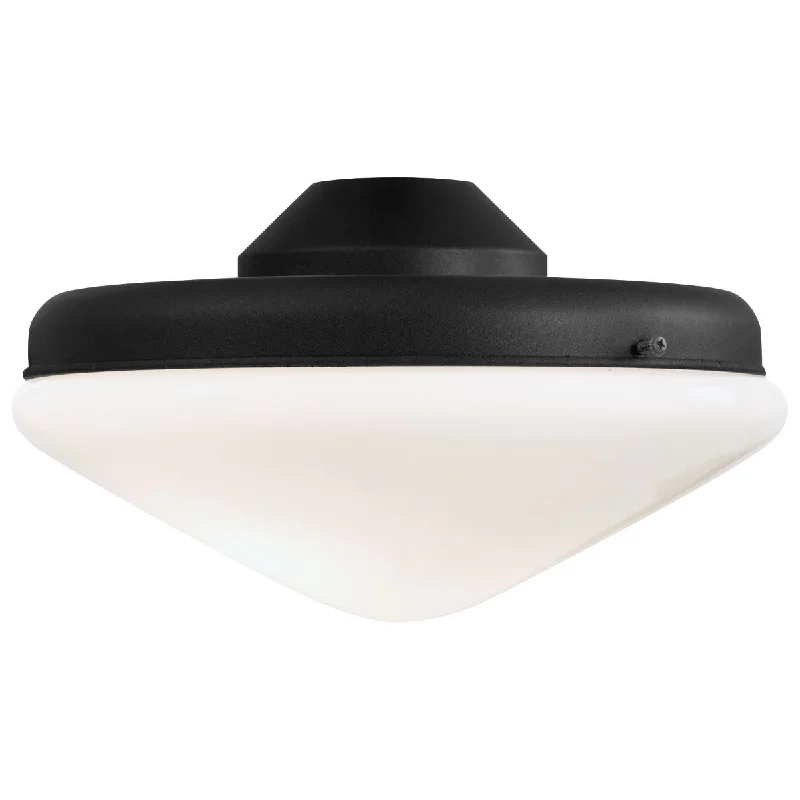 Color - Tunable Industrial Lighting for Special ApplicationsUniversal 10 In. Two Lights LED Ceiling Fan Light Kit, Textured Coal Finish