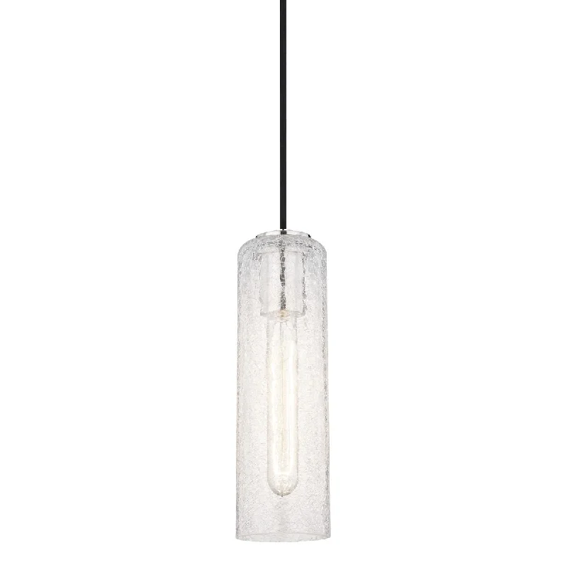 Corrosion - Resistant Industrial Lighting for Coastal FactoriesSkye 4 in. Pendant Light Polished Nickel Finish Corrosion - Resistant Industrial Lighting for Coastal FactoriesSkye 4 in. Pendant Light Polished Nickel Finish