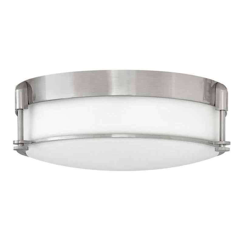 Track lighting for modernizing traditional interiorsHinkley 3233 Foyer Colbin Ceiling Light Track lighting for modernizing traditional interiorsHinkley 3233 Foyer Colbin Ceiling Light