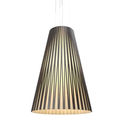 Rustic Ceiling Lights with Reclaimed Wood and Distressed FinishesRustic Ceiling Lights with Reclaimed Wood and Distressed FinishesAccord Living Hinges 1239.02 Pendant Light - Matta Black